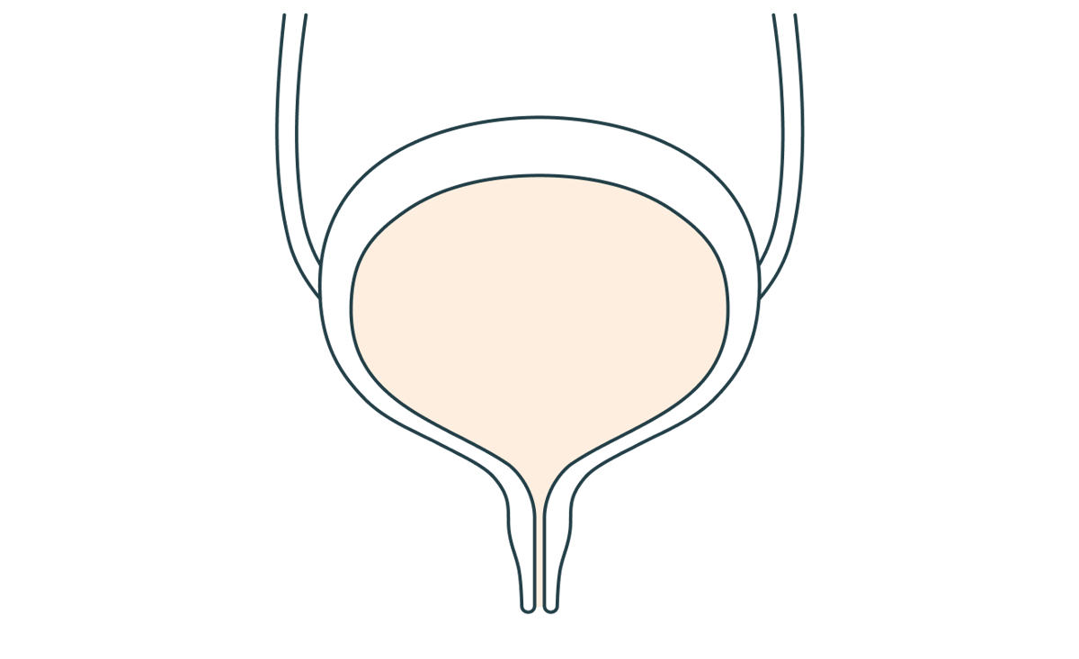 Opslaan urine