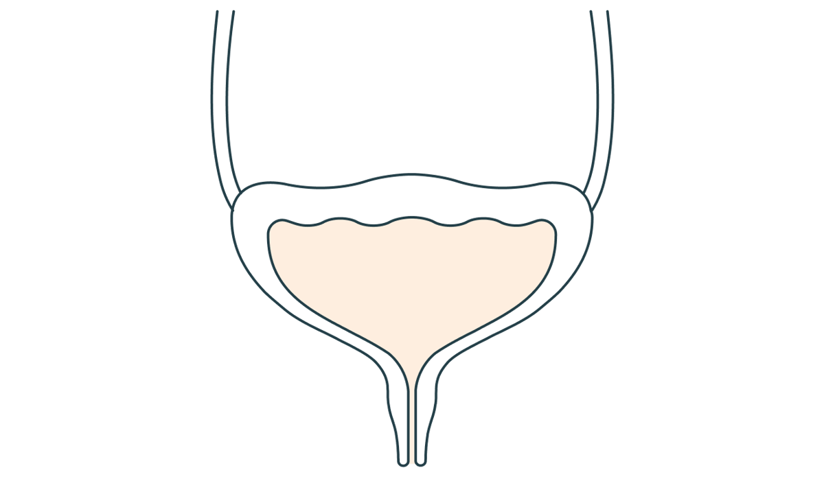Lozen van urine